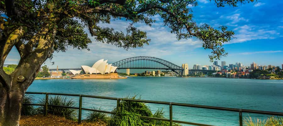 Sydney Harbour to Bondi: Small Group Half–Day Experience - Opera House and Harbour Bridge viewpoints: iconic without the chaos