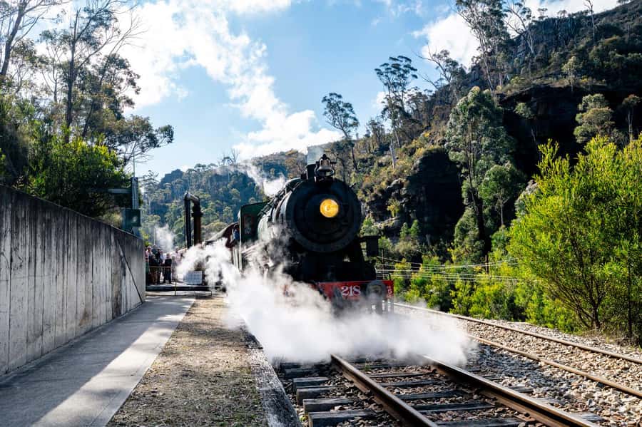 Sydney: Heritage Zig Zag Steam Train and Blue Mountains Tour - Who this tour fits best (and who should skip it)