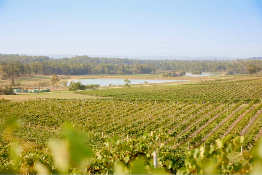 Sydney: Hunter Valley Wineries Day Trip with Food Tastings - The drive, the stops, and the vibe of the day