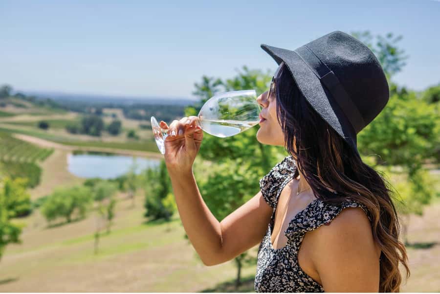 Sydney: Hunter Valley Wineries Day Trip with Food Tastings - Three wineries, and what you should expect from the tastings