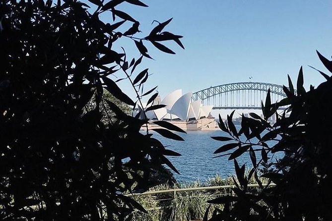 Sydney Icons & Bondi Half Day Private Tour - The Rocks: convict history, not just pretty streets