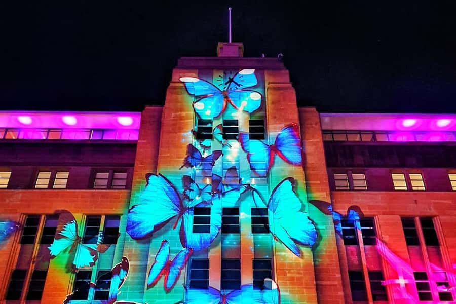 Sydney: Intimate Vivid Harbour Cruise with Canapes - Price and value: why $53 is easier to justify here