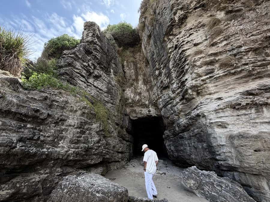 Sydney: Jervis Bay & South Coast Small Group - Booderee National Park: nature time and wildlife odds