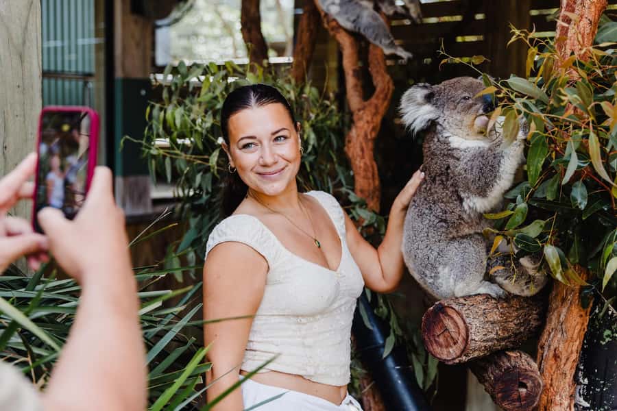 Sydney: Jervis Bay Tour with Beaches, Koalas & Kangaroos - Kiama Blowhole: a classic stop with a clear purpose