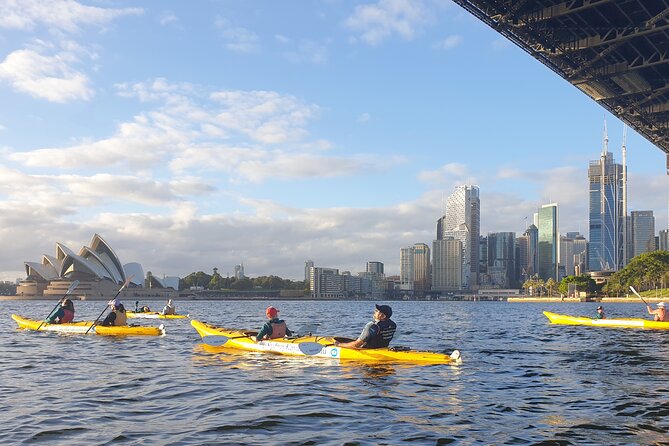 Sydney Kayak Seal Encounter Adventure with Gourmet Food - Who This Tour Fits Best (and Who Might Want Another Option)