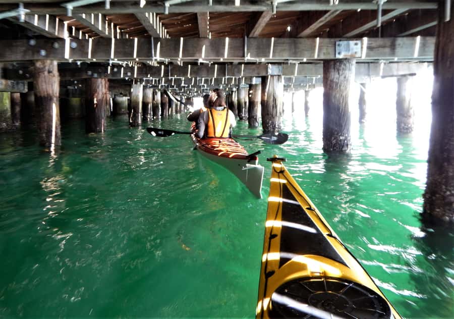 Sydney: Kayak to Goat Island At The Heart of Sydney Harbour - Who this is best for (and who should skip it)