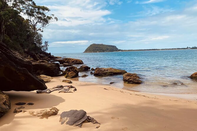 Sydney: Ku-ring-gai Chase National Park with Hike, Swim, Picnic - The Walking Plan: Bush Tracks, Viewpoints, and Time to Breathe