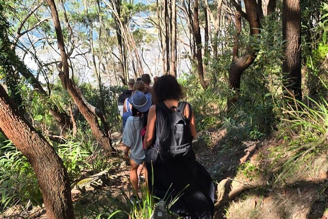 Sydney: Ku-ring-gai Chase National Park with Hike, Swim, Picnic - The Picnic Spread: Why This Meal Feels Worth the Day