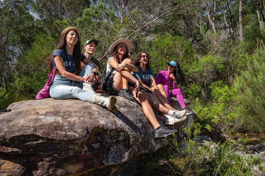Sydney: Ku-ring-gai National Park with swim and picnic - Picnic Break: Local Cheese, Fruit, Olives, and Kombucha