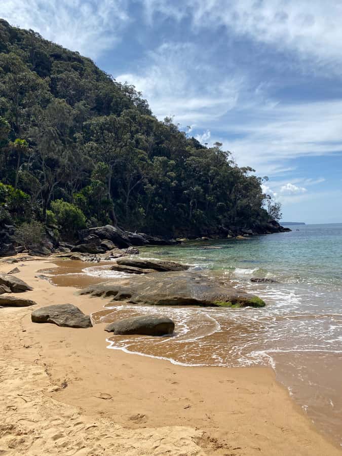 Sydney: Ku-ring-gai National Park with swim and picnic - Swim Time: Hidden Beach Feel When Conditions Allow