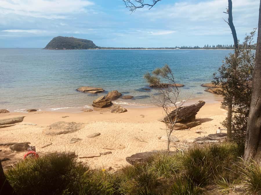 Sydney: Ku-ring-gai National Park with swim and picnic - Mooney Mooney Food Tasting: A Local Flavour Detour