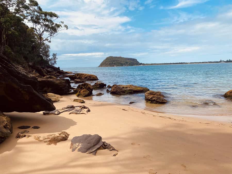 Sydney: Ku-ring-gai National Park with swim and picnic - Getting North: CBD Pickup and a Small-Group Pace