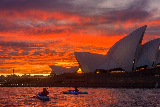 Sydney LED Lit Kayak Tour of the Opera House and Bridge - Who this tour suits best (and who should think twice)
