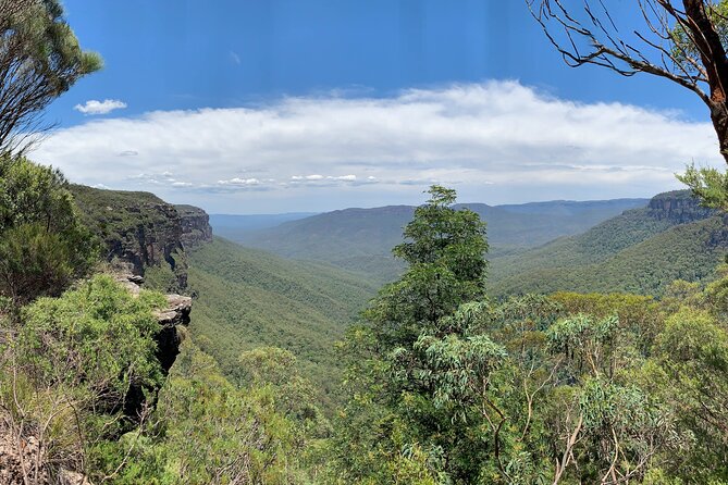 Sydney: Luxury Blue Mountains Adventure as a Small Group Day Tour - Guides make or break it: why these names keep coming up