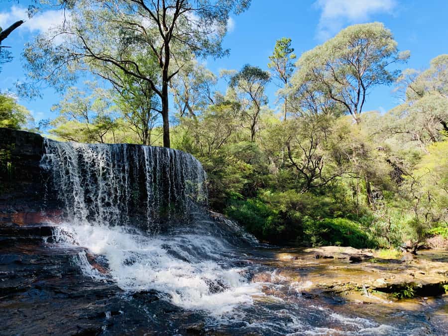 Sydney: Luxury Blue Mountains Adventure with Wentworth Falls - Key highlights you’ll feel right away