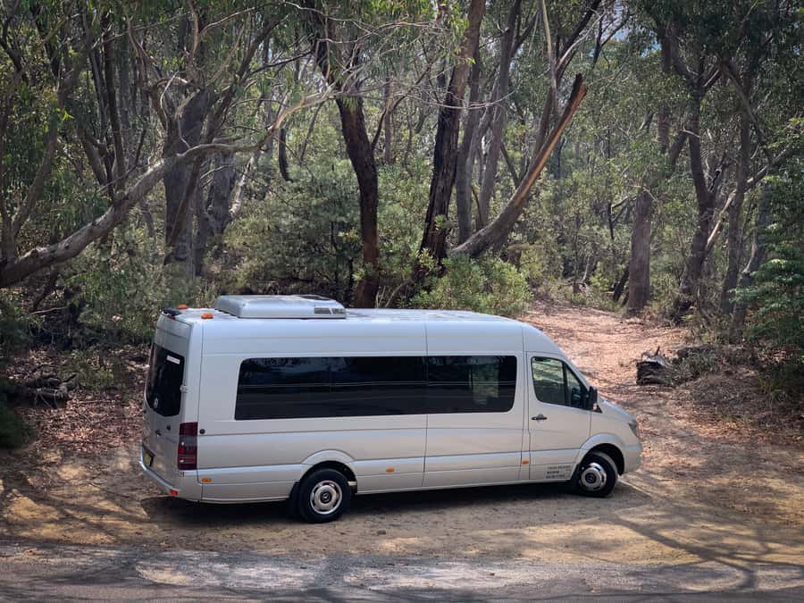 Sydney: Luxury Blue Mountains Adventure with Wentworth Falls - Little tips that make the day smoother