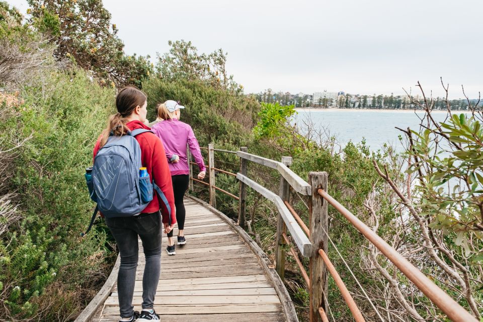 Sydney: Manly and Shelly Beach Snorkeling Tour - Price and value: $77 for 150 minutes that includes the gear