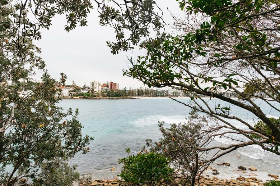Sydney: Manly and Shelly Beach Snorkeling Tour - Snorkeling Cabbage Tree Bay Aquatic Reserve for real sea life