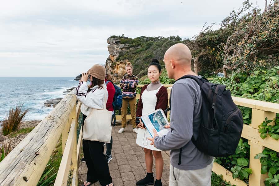 Sydney: Manly and Shelly Beach Snorkeling Tour - Cold-water reality: what to bring and how to not ruin your day