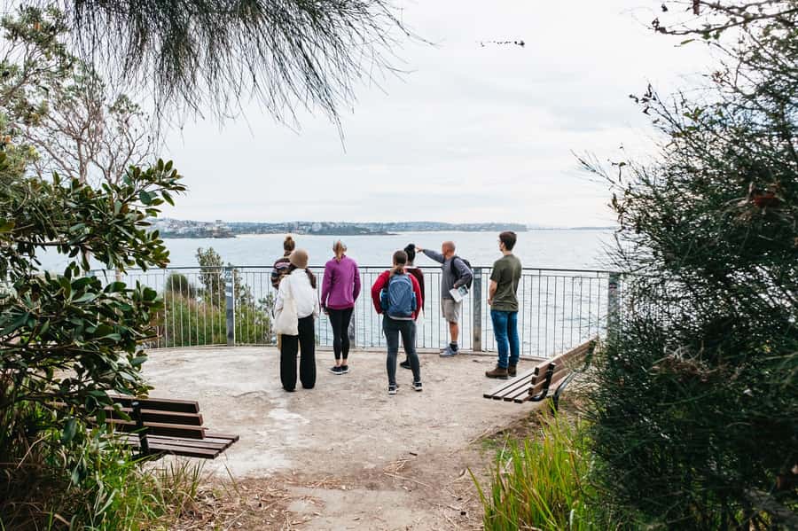 Sydney: Manly and Shelly Beach Snorkeling Tour - Getting to the sand: your Shelly Beach meeting point and timing