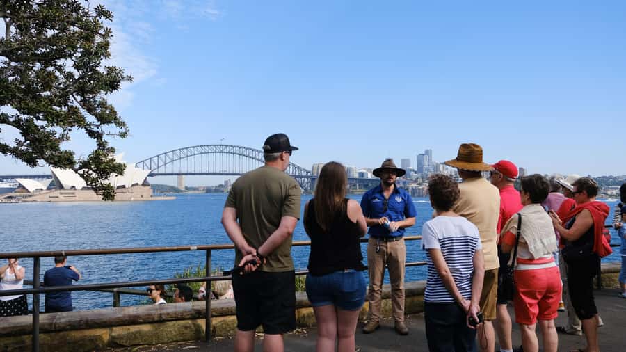 Sydney: Morning Sightseeing Bus to Bondi with Lunch Cruise - Circular Quay lunch cruise: buffet, drinks, and bay views from the water