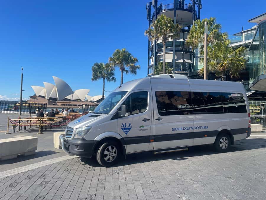 Sydney: Morning Sightseeing Bus to Bondi with Lunch Cruise - Price and value: what $174 gets you in real terms