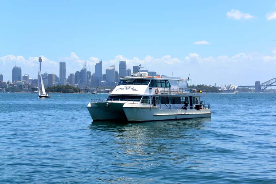 Sydney: Morning Sightseeing Bus to Bondi with Lunch Cruise - The Rocks to Mrs Macquarie’s Point: the Harbour icons, without the chaos