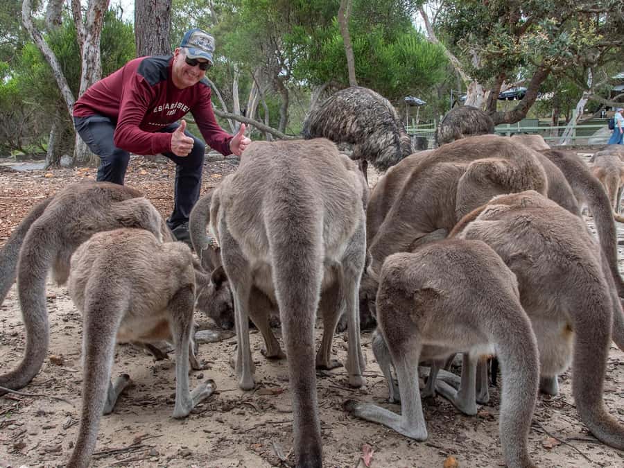 Sydney: Nature and Wildlife - Australia in One Day - Hawkesbury River coffee break: a calm pivot in the day