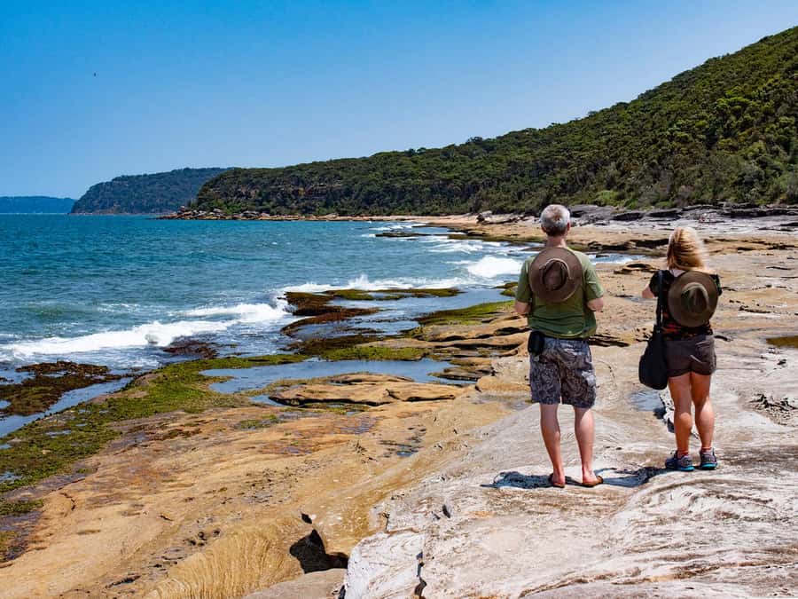 Sydney: Nature and Wildlife - Australia in One Day - Terrigal wildlife viewing and Berowra Valley National Park time