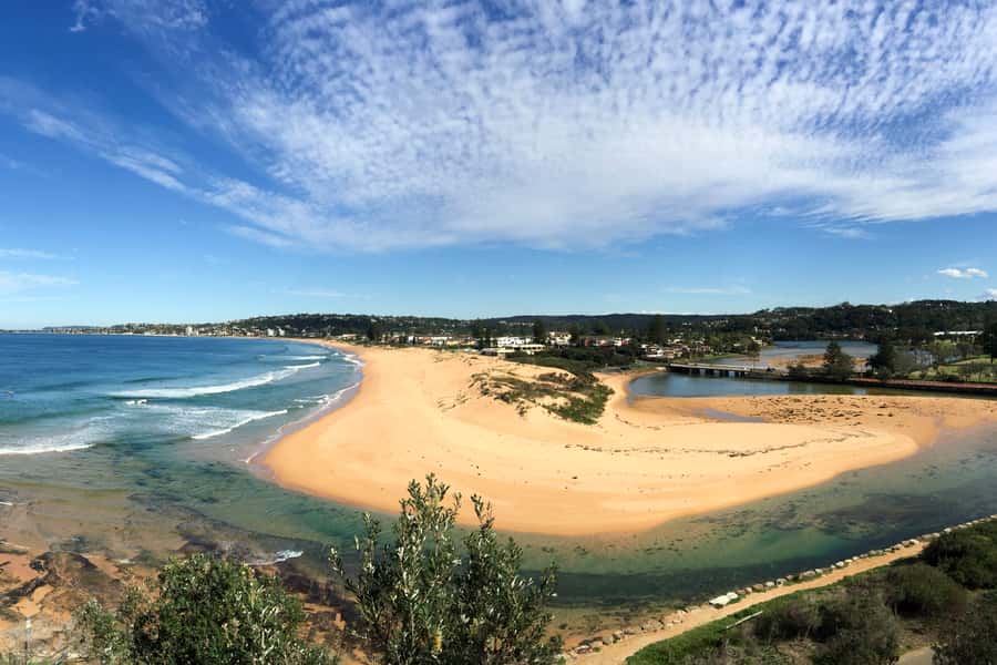 Sydney: Northern Beaches and Ku-ring-gai National Park Tour - The Manly ferry through the Heads: a relaxing finish with real Sydney icons