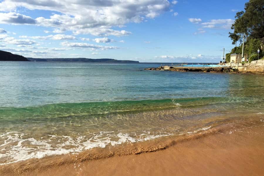 Sydney: Northern Beaches and Ku-ring-gai National Park Tour - Northern Beaches and Ku-ring-gai: the day’s winning mix of coast, culture, and wildlife