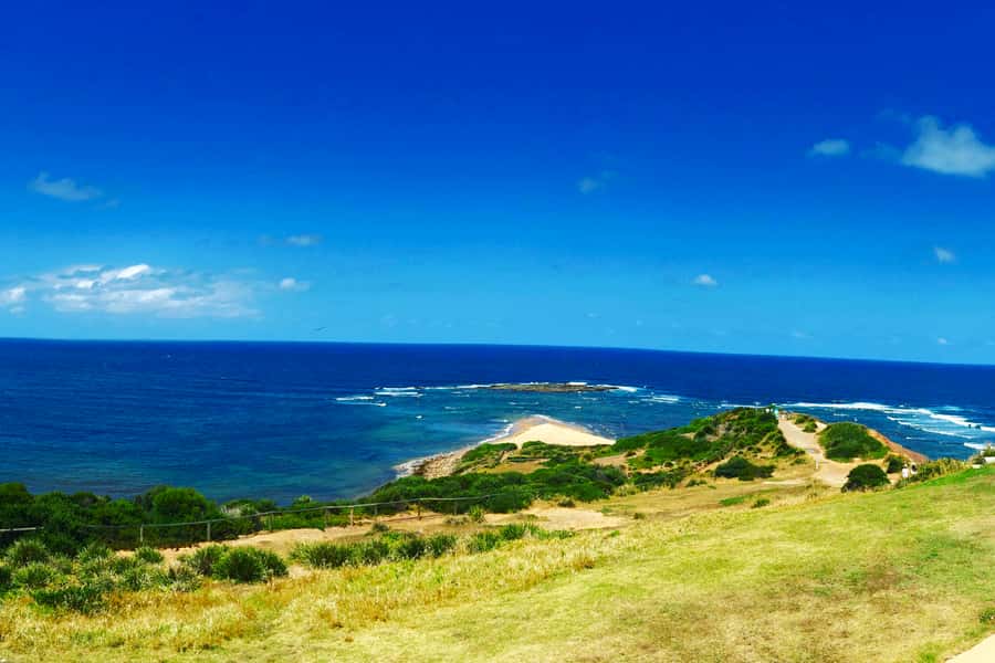 Sydney: Northern Beaches and Ku-ring-gai National Park Tour - Ocean lookouts across Manly, the Spit, West Head, and the Barrenjoey Lighthouse zone