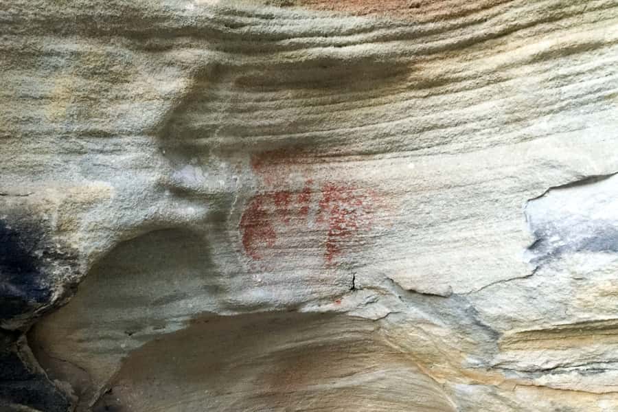 Sydney: Northern Beaches and Ku-ring-gai National Park Tour - Palm Beach lighthouse area, Summer Bay, and how the coast stays dramatic