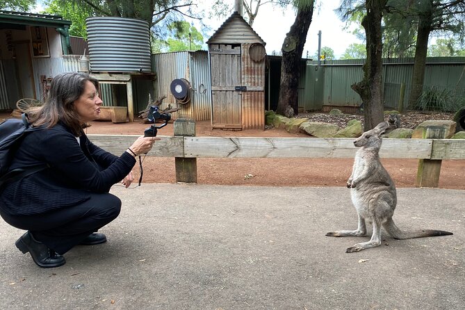 Sydney Opera House and Aussie Animals Private Tour - Key Highlights to Know Before You Go