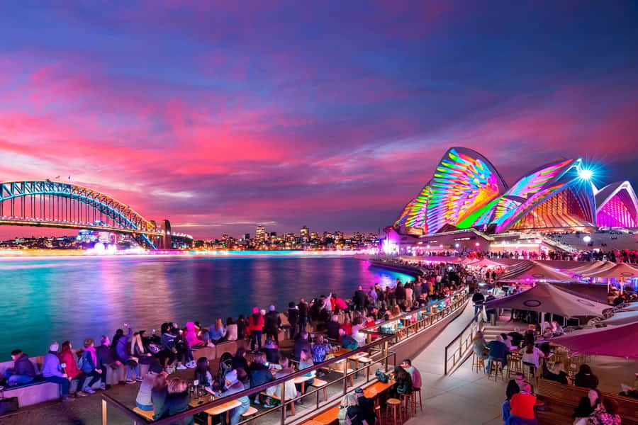 Sydney: Premium Catamaran Vivid Cruise with Welcome Drink - Why a small VIVID cruise feels worth $63