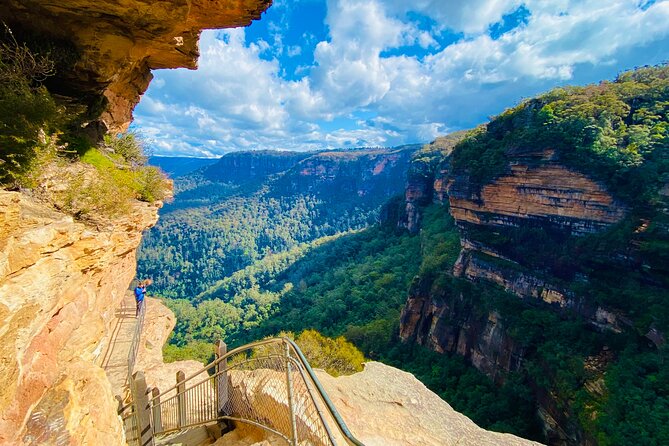 Sydney: PRIVATE Blue Mountains, Wildlife & Cruise Luxe Tour (10h) - How This 10-Hour Private Blue Mountains Tour Really Works