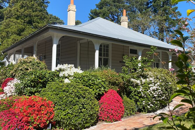 Sydney: PRIVATE Blue Mountains, Wildlife & Cruise Luxe Tour (10h) - Getting Out of Sydney: Pickup, Timing, and a Day That Doesn’t Drag