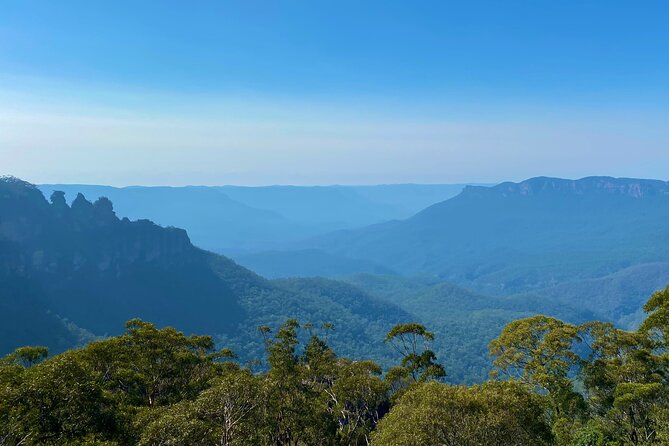 Sydney: PRIVATE Blue Mountains, Wildlife & Cruise Luxe Tour (10h) - Leura Mall Lunch Break: The Midday Reset in a Garden Village