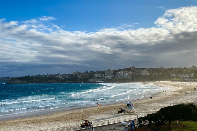 Sydney: PRIVATE City Highlights & Ocean Front Luxe Tour (4h) - What you’re really paying for: $347.15 per person and the value math