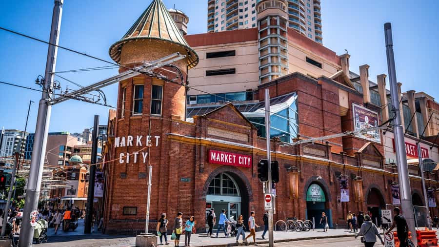 Sydney Private & Custom Walking Experience with a Local - How the pre-tour questionnaire shapes your day