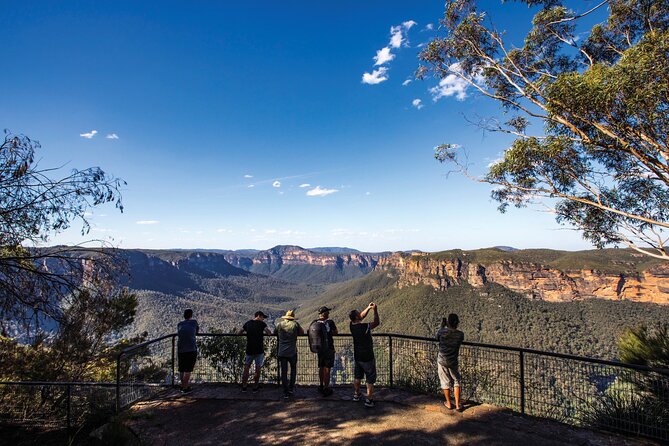 Sydney Private Custom Walking Tour with A Guide (Private Tour) - Pace, meet-up details, and what to bring