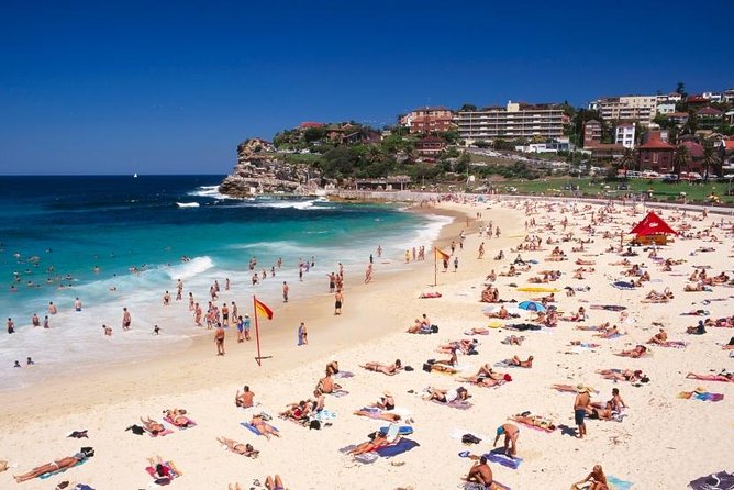 Sydney Private Day Tours | Main Attractions and Highlights | 6 Hour Private Tour - How the 6 Hours Actually Feels: A Fast, High-Impact Day