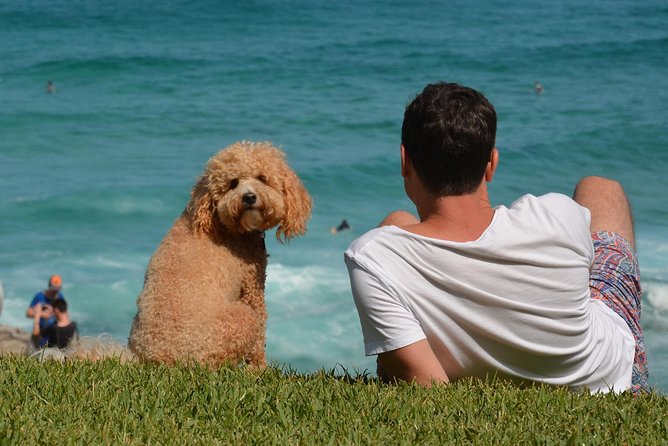 Sydney Private Experience with a Local 3-8hrs: Icons & Gems - The real value: a private Sydney route, not a checklist