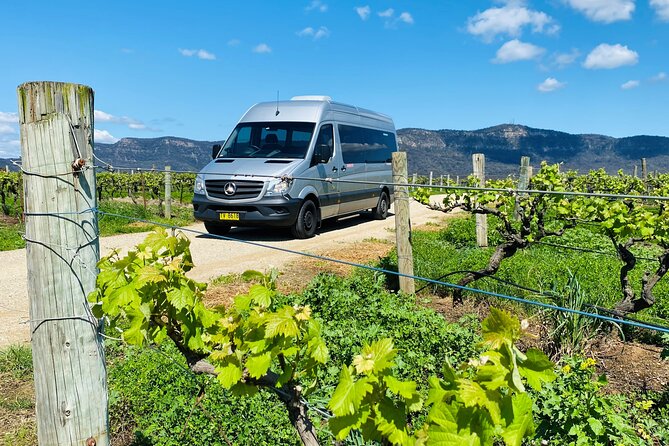 Sydney: PRIVATE Hunter Valley Wine Tasting Luxe Tour (10h) - Scenic Drive Stops That Feel Like Part of the Day