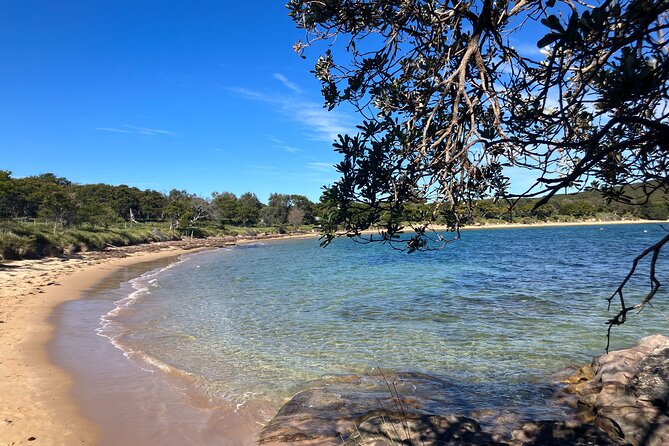 Sydney Private Tour Inc The Royal National Park and Symbio Zoo - Wattamolla Beach and Its Lagoon Feel (Plus a Cooling Swim Option)