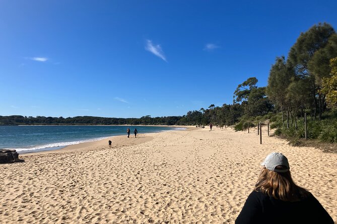 Sydney Private Tour Inc The Royal National Park and Symbio Zoo - Symbio Wildlife Park: Koalas and Kangaroos Up Close