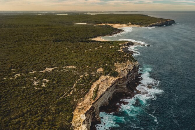 Sydney: Royal National Park Day Trip with Picnic and Swim - Key Highlights You’ll Actually Feel