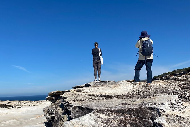 Sydney: Royal National Park Day Trip with Picnic and Swim - Symbio Wildlife Park Optional Stop: Koalas and More
