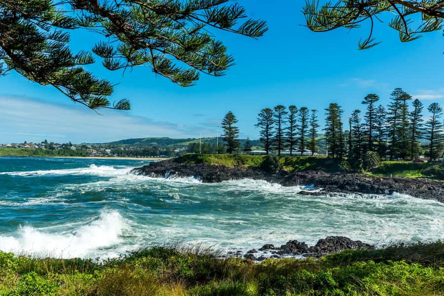 Sydney: Sea Cliff Bridge, Kiama Blowhole and Farmlands Tour - Illawarra beaches and remote lookouts: the best kind of downtime
