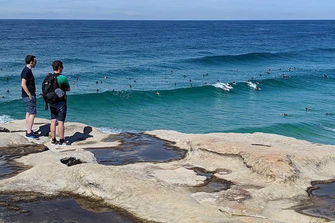 Sydney Secrets and Bondi Beach 4 HOUR MORNING PRIVATE TOUR - Woolloomooloo to Bondi: finger wharf views and a wildlife-chance detour